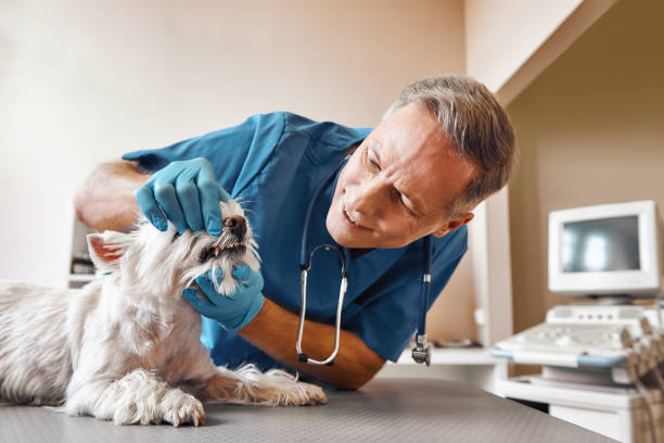 Best Emergency Dentist for Knocked-Out Tooth in Monticello, IA