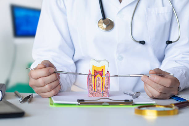 Best Emergency Dentist for Special Needs Patients in Monticello, IA